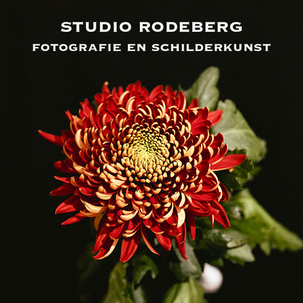 Studio Rodeberg 72 dpi